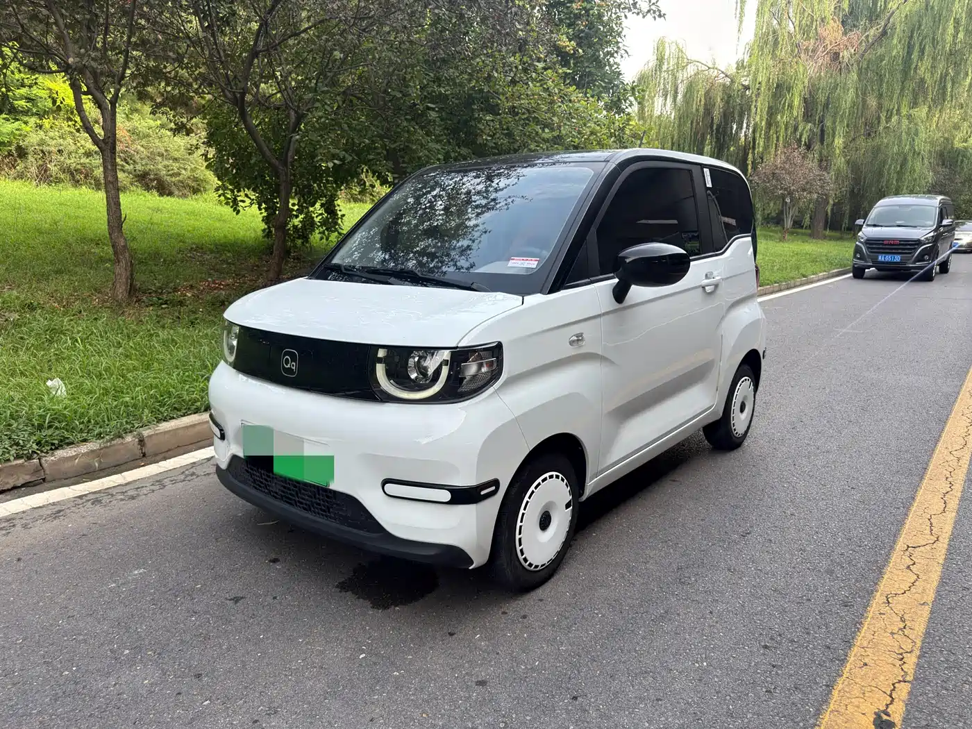 QQ New Energy QQ Ice Cream 2025 2025 205km Vitality Edition
