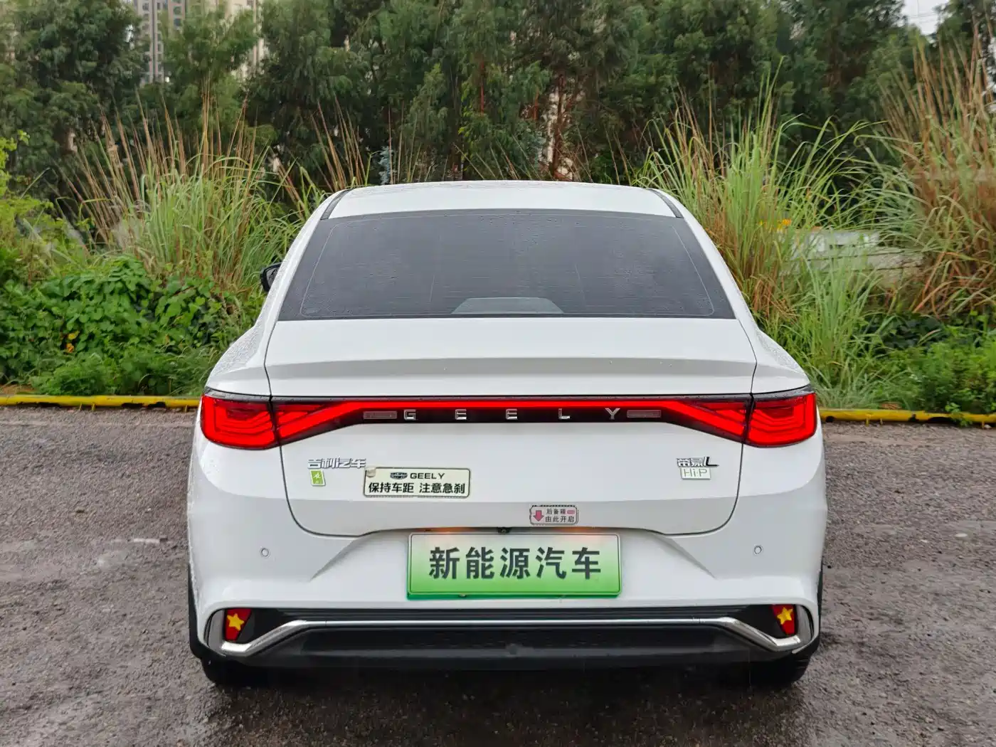 Geely Emgrand L HiP 2023 2022 1.5TD-DHT Pro 100KM Super Rui