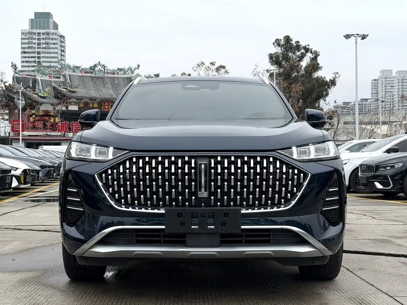 WEI PAI WEI BRAND MOCHA