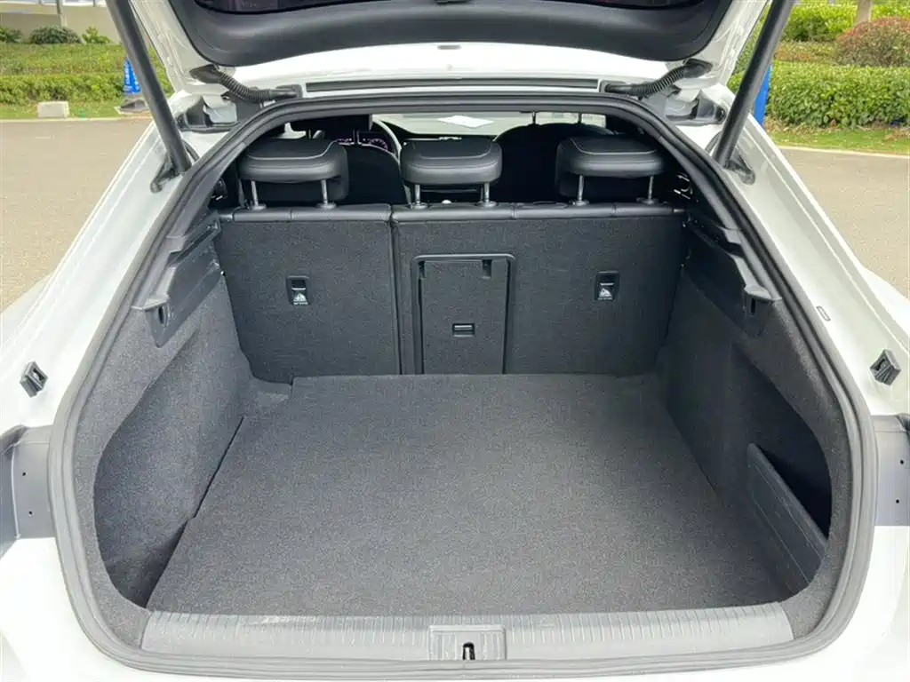 Volkswagen FAW-Volkswagen CC 2020 330TSI Glamour Version China VI фото 4