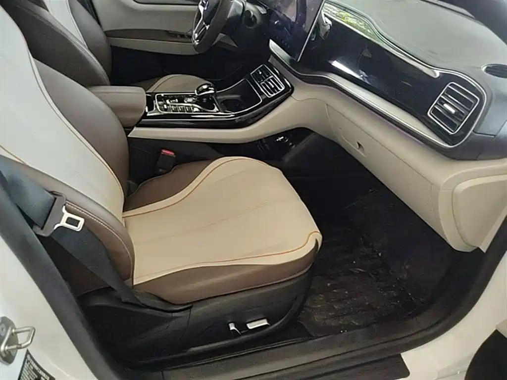 BYD Qin PLUS 2023 Champion Edition EV 610KM Excellence фото 25