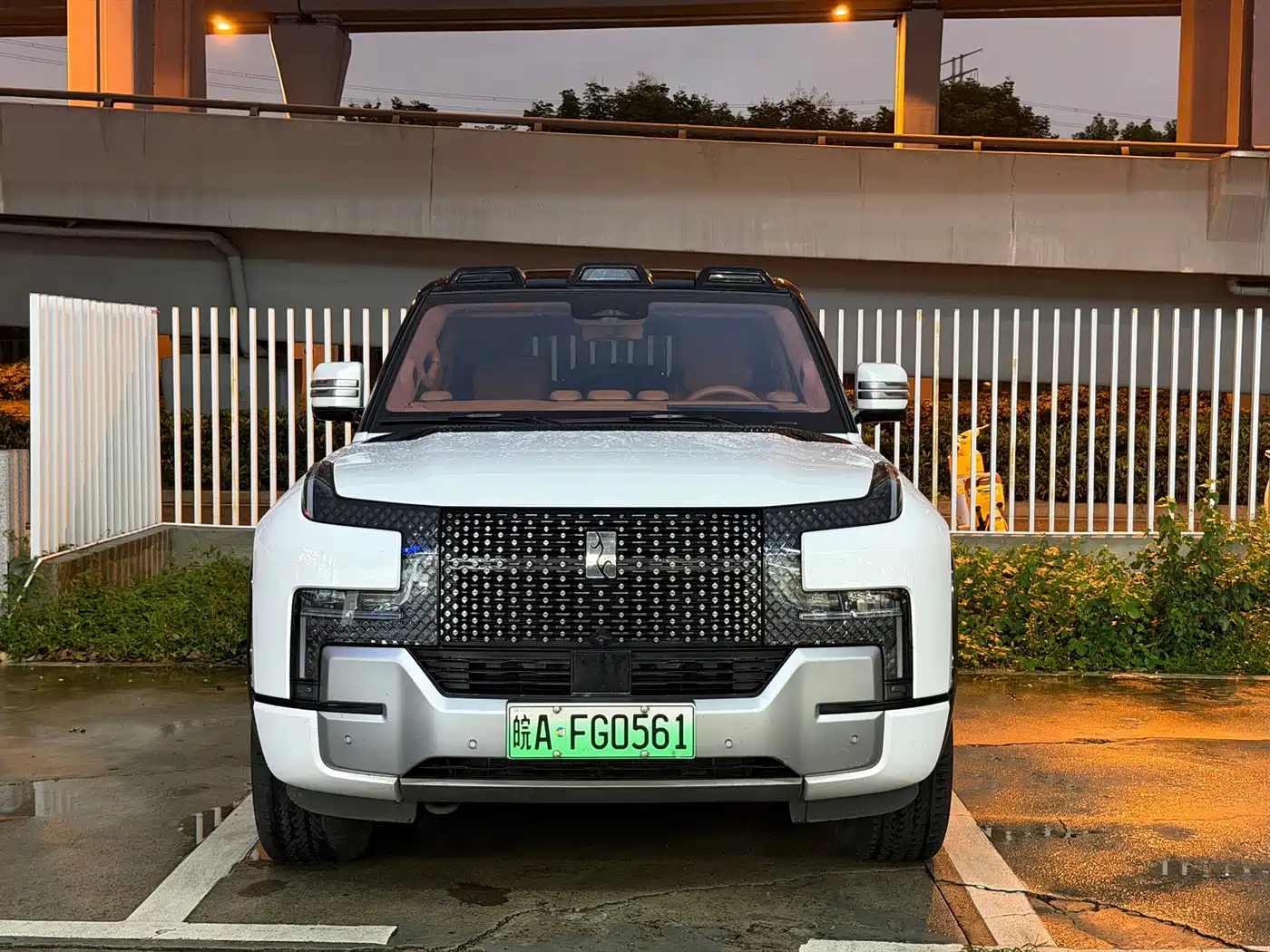 Yangwang U8 2024 2023 Luxury Edition