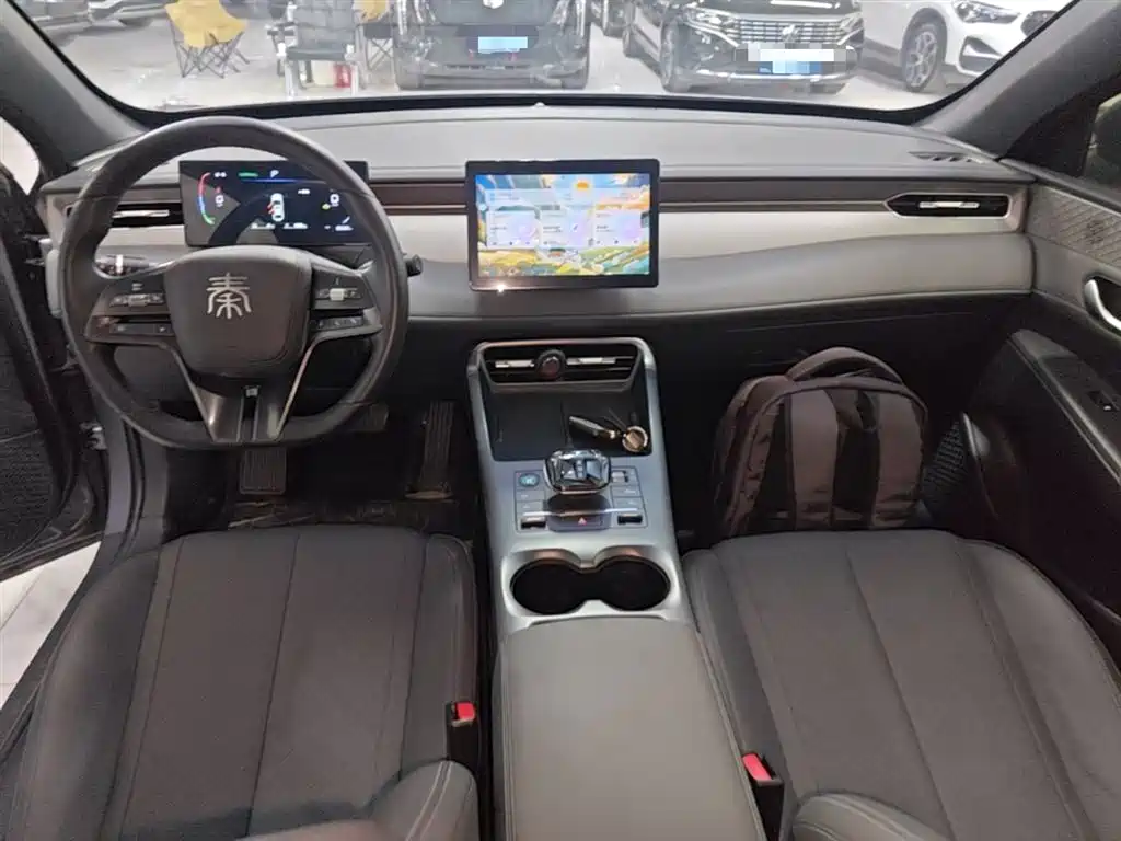 BYD Qin PLUS 2024 Glory Edition DM-i 55KM Leading фото 10