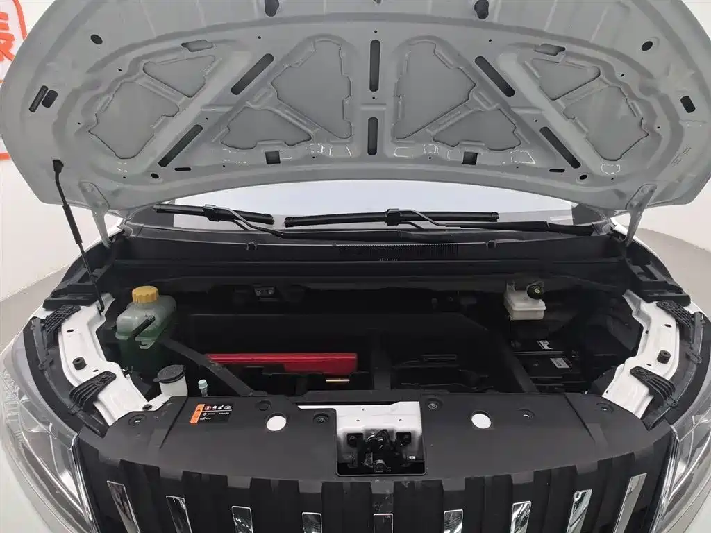 BAW RUISHENG ACE M7 NEW ENERGY