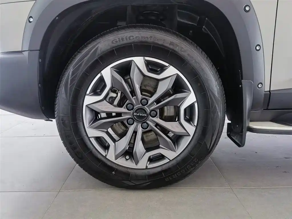 Haval Big Dog 2022 2.0T DCT 4WD Chinese Rural Dog Hunting Edition фото 17