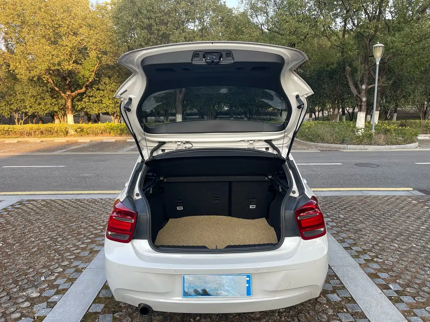 BMW 1 Series (Import) 2013 Facelift 118i Leading Model фото 23