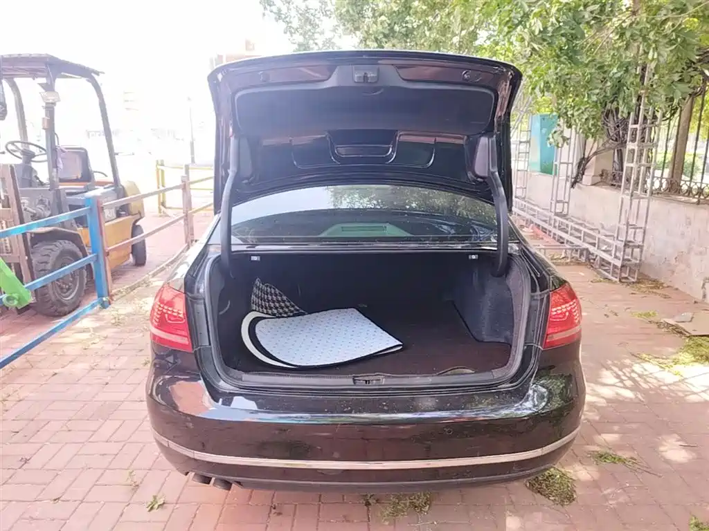 Volkswagen Passat 2015 1.8TSI DSG Prestige Edition фото 15