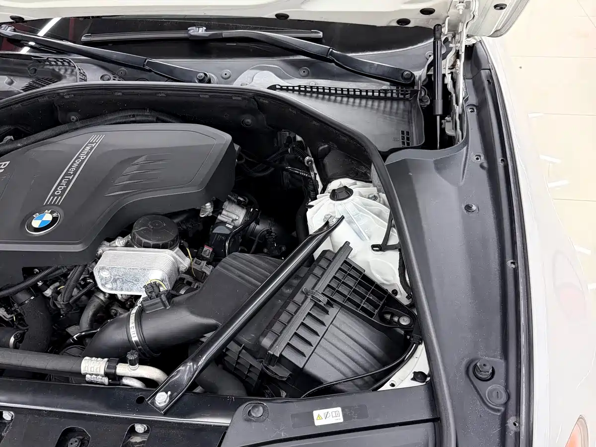 BMW 5 Series 2014 525Li Luxury Design Package фото 30