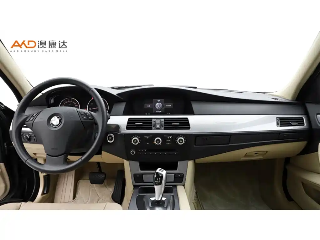 BMW 5 Series 2009 520Li Premium фото 5