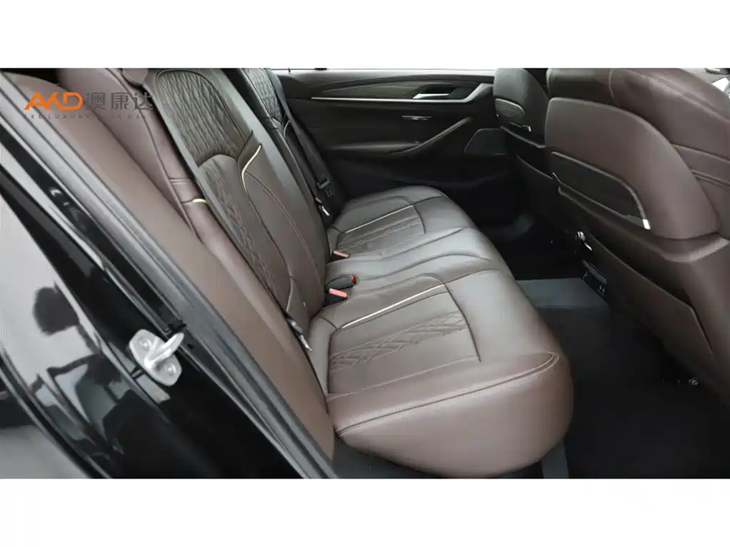 BMW 5 Series 2020 530Li Premium Luxury Package фото 8