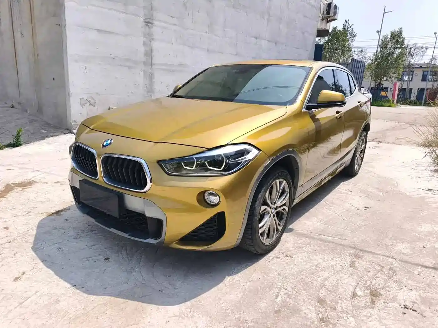 BMW X2 (Import) 2019 2019 sDrive25i Leading M Off-Road Package China VI