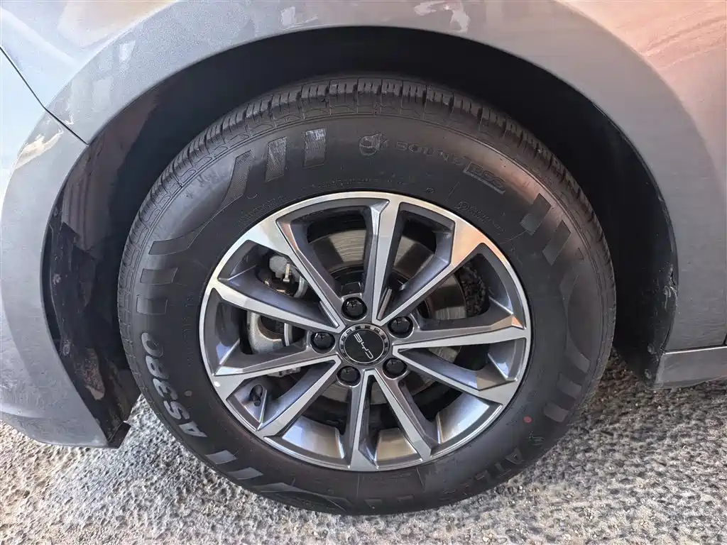 BYD Destroyer 05 2024 Glory Edition DM-i 55KM Luxury фото 14