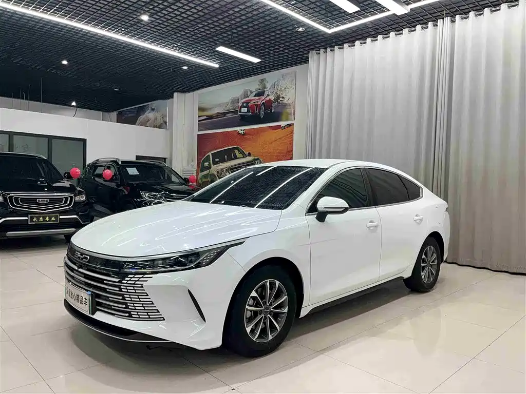 BYD Destroyer 05 2024 Glory Edition DM-i 55KM Luxury