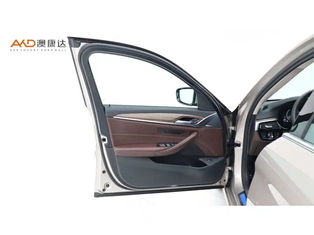 BMW 5 Series 2019 Facelift 530Li Leading Luxury Package фото 10