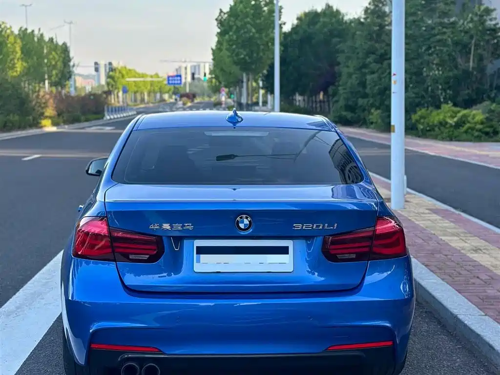 BMW 3 Series 2019 320Li M Sport Black Night Edition фото 4