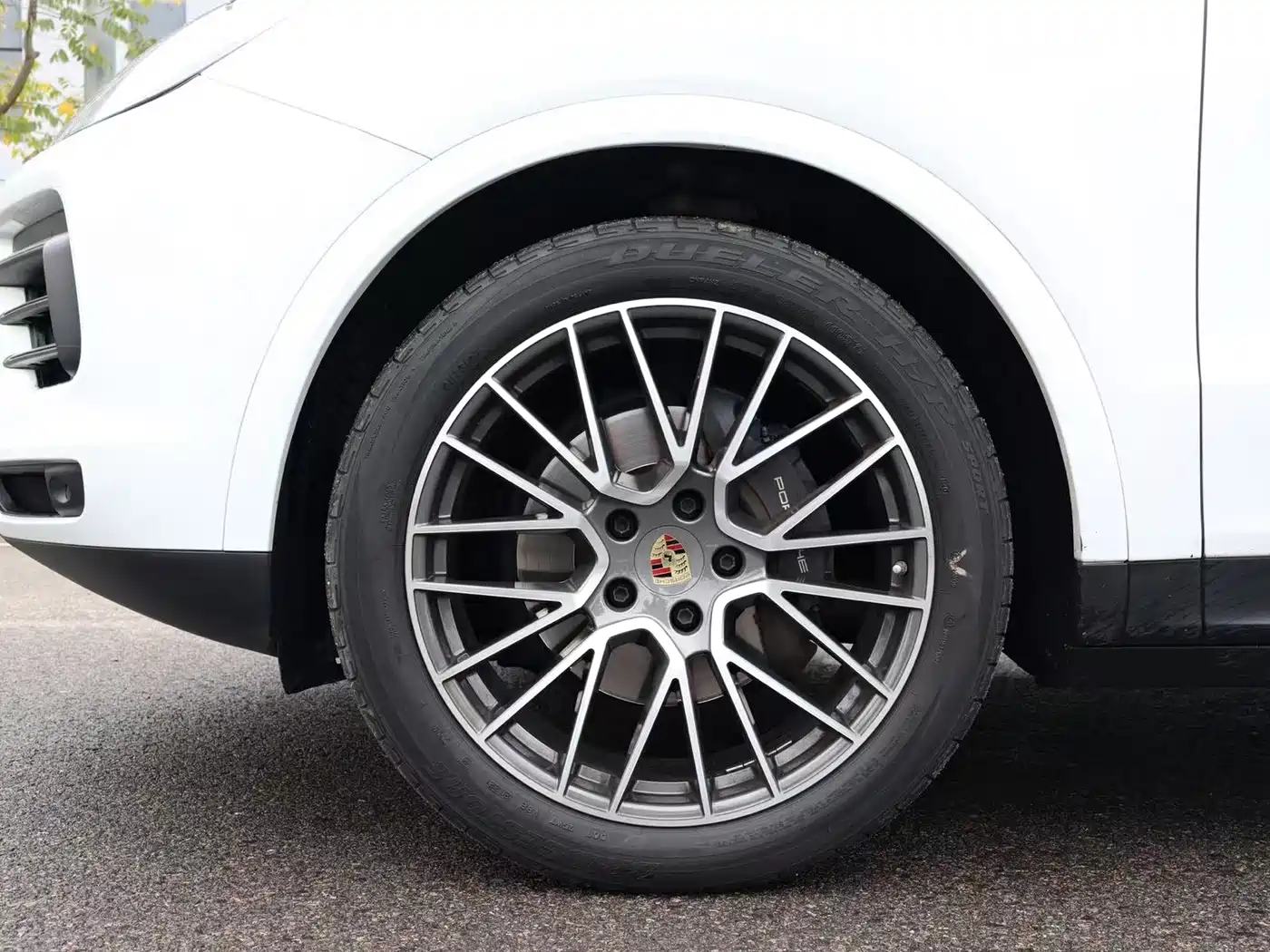 Porsche Cayenne 2023 Cayenne 3.0T Platinum Edition фото 3