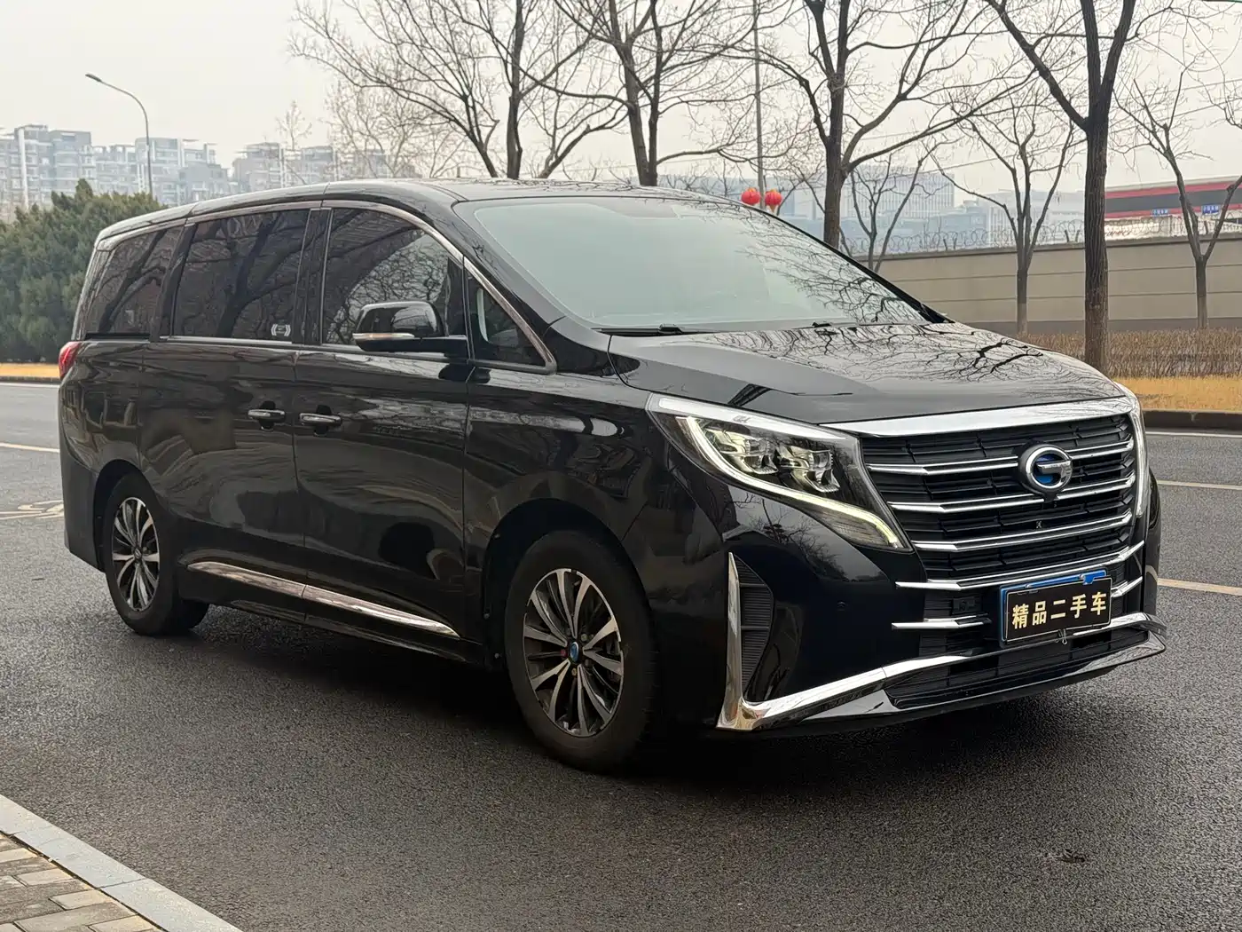 GAC Trumpchi Trumpchi M8 2021 Leading Show Series 390T Premium Edition фото 2