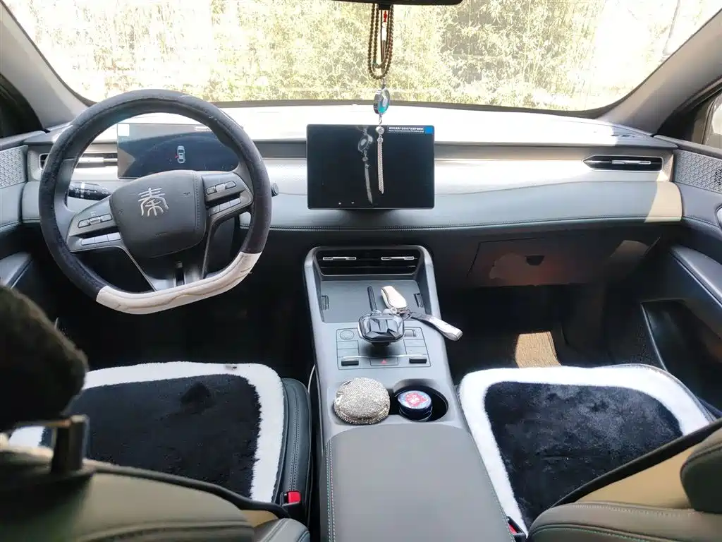 BYD Qin PLUS 2025 DM-i Smart Drive 55KM Leader фото 13