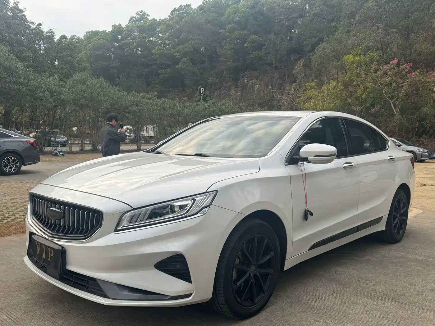 GEELY AUTOMOBILE BORUI