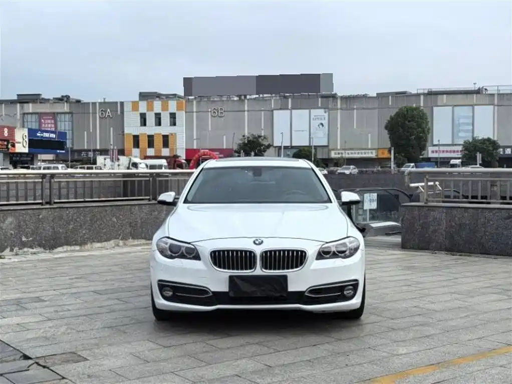 BMW 5 Series 2014 525Li Luxury Design Package фото 2
