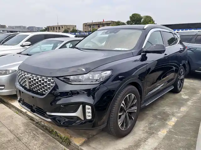  WEY Wey VV6 2021 2.0T 2WD Smart Joy+