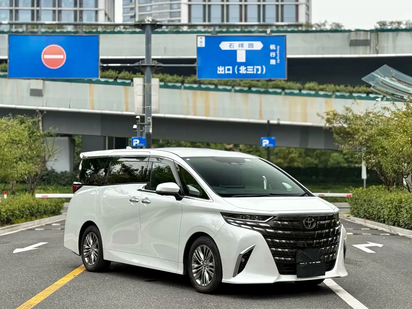 Фото 2 - Toyota Alphard