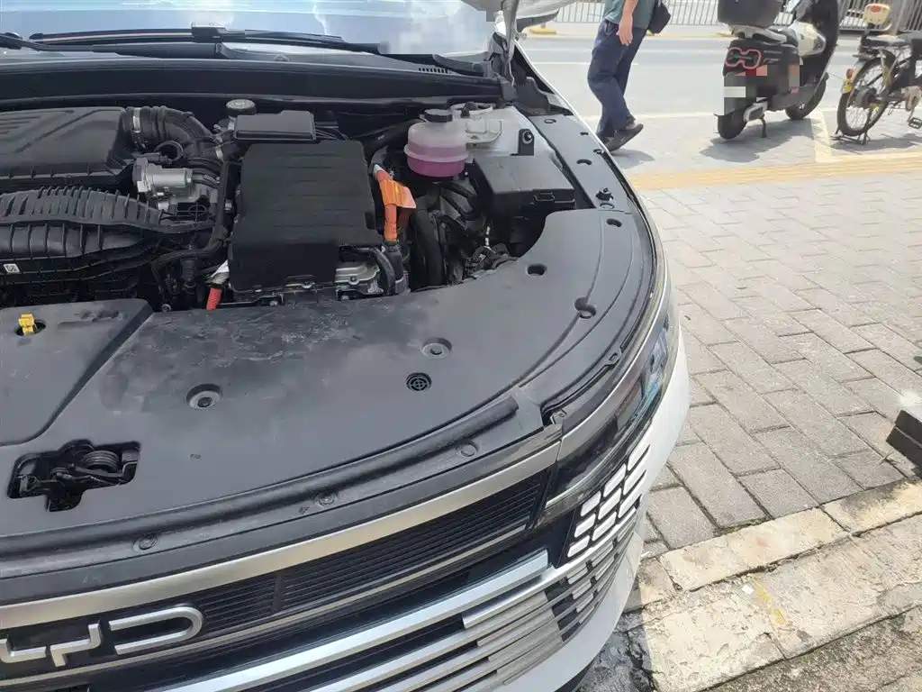 BYD Destroyer 05 2024 Glory Edition DM-i 55KM Luxury фото 22