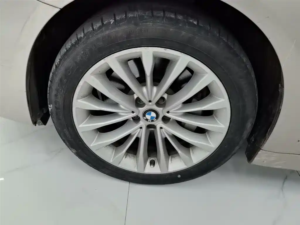 BMW 5 Series 2018 Facelift 530Li Leading Luxury Package фото 23