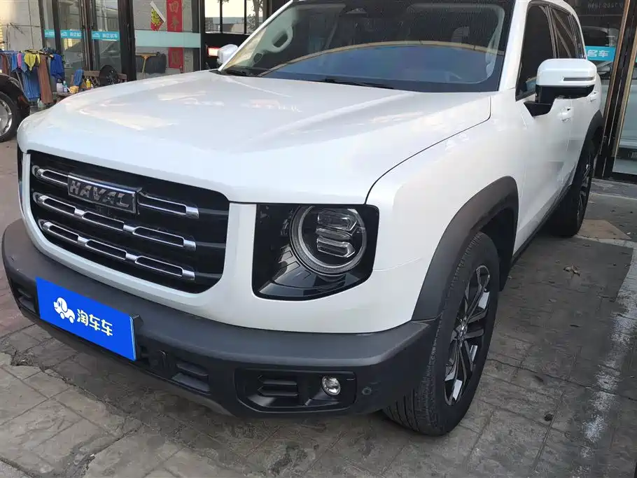 Haval Big Dog 2021 1.5T DCT 2WD Border Collie Edition