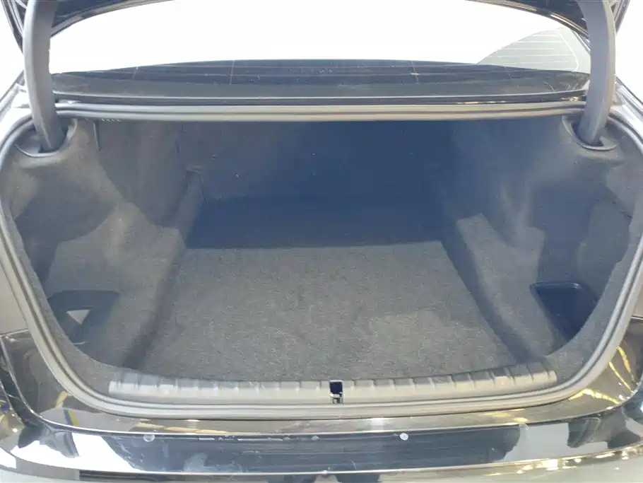 BMW 5 Series 2020 525Li Luxury Package фото 4