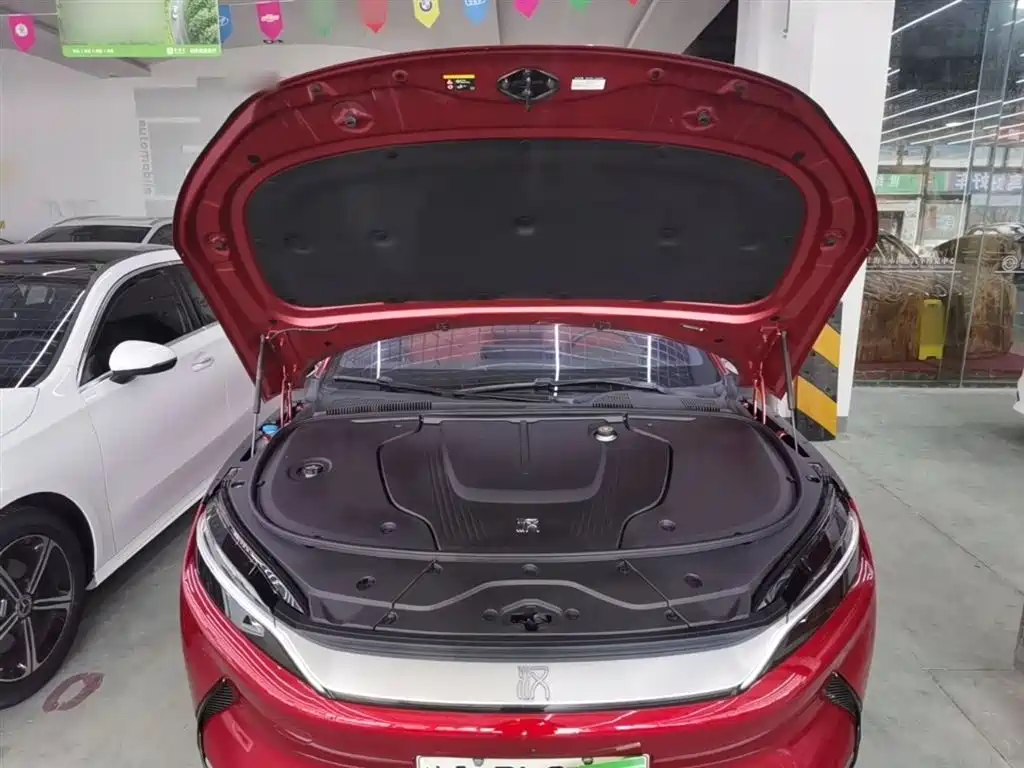 BYD Han 2020 EV AWD High-Performance Flagship фото 20