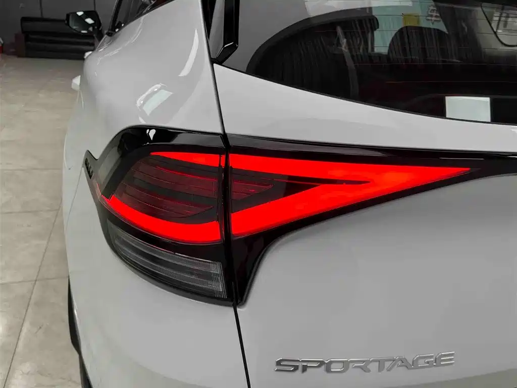 KIA LION PLATINUM EXPANDS THE WORLD