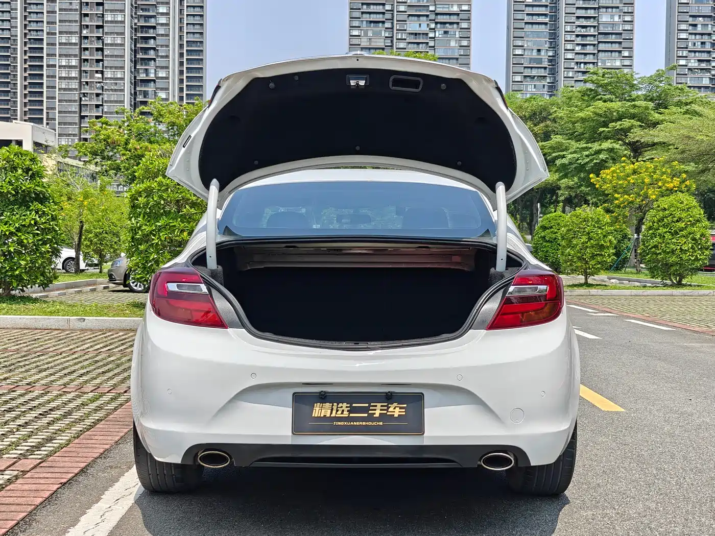 Buick Regal 2015 1.6T Leading Tech Edition фото 8