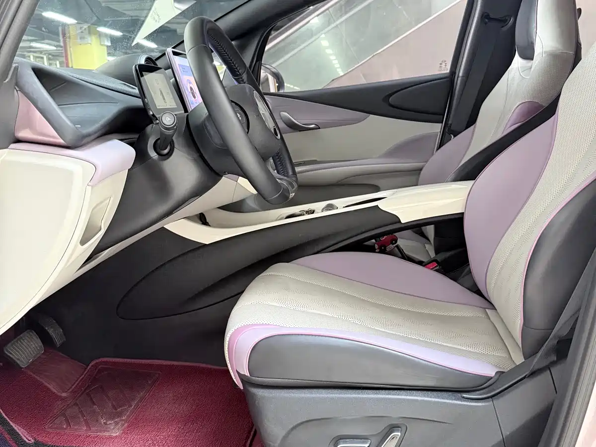 BYD Dolphin 2023 420km Fashion Edition фото 6