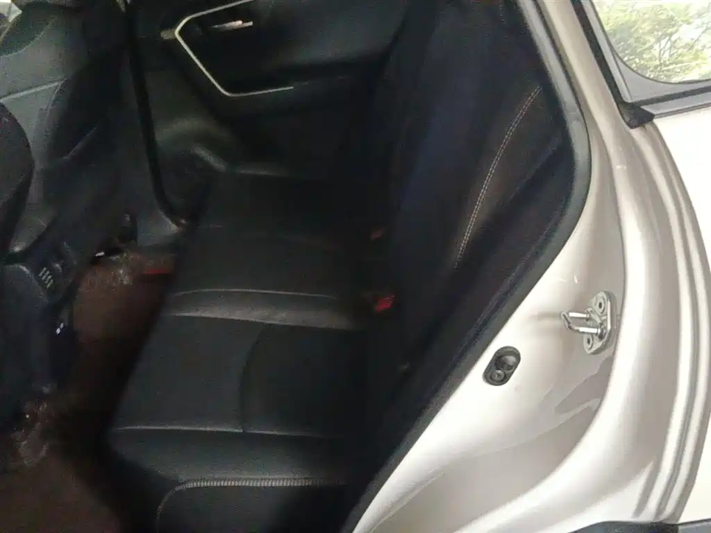 Toyota RAV4 Rongfang 2023 2.0L CVT FWD Style Plus Edition фото 17