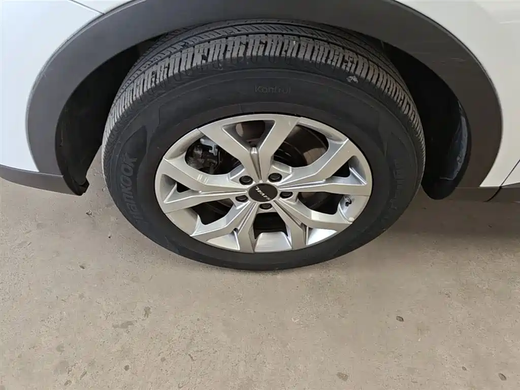 Haval H6 2021 Model National Trend Edition 1.5T Auto Champion фото 23