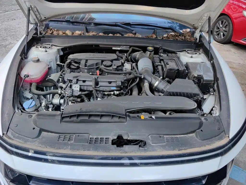 Hyundai Sonata 2024 2024 1.5T Pro