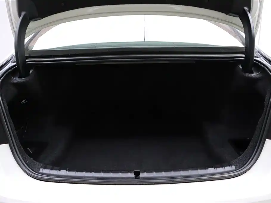 BMW 5 Series 2018 528Li Launch Special Edition фото 30