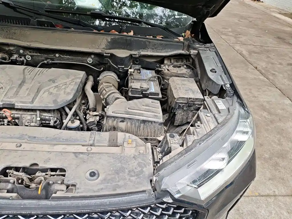 Haval H6 2021 3rd Generation 2.0T Auto 2WD Max фото 22