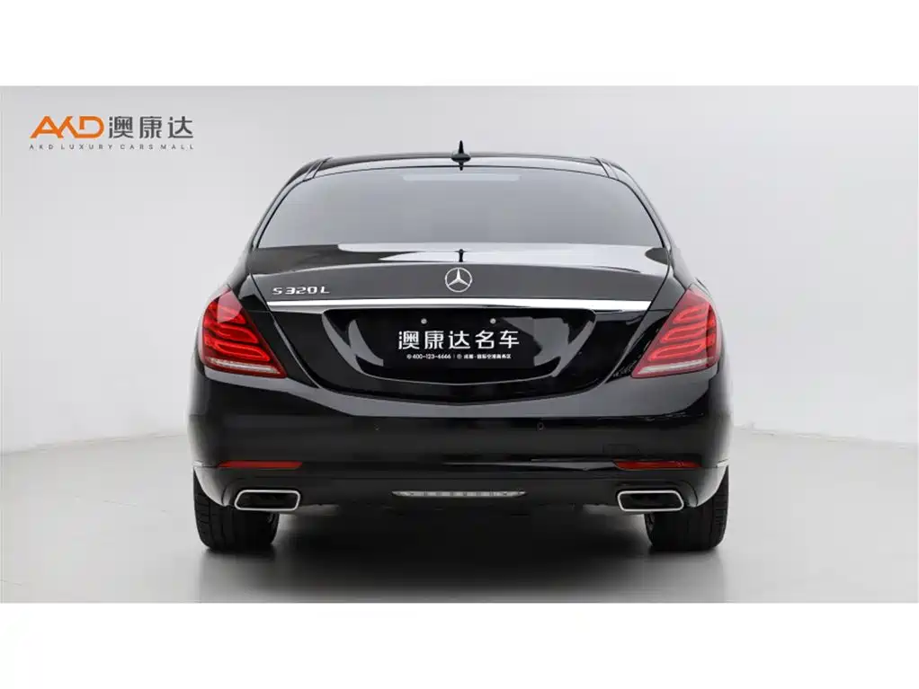 Mercedes-Benz S-Class 2014 S 320 L Luxury фото 4