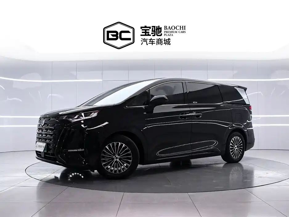 Denza D9 2024 DM-i 980 AWD Premium