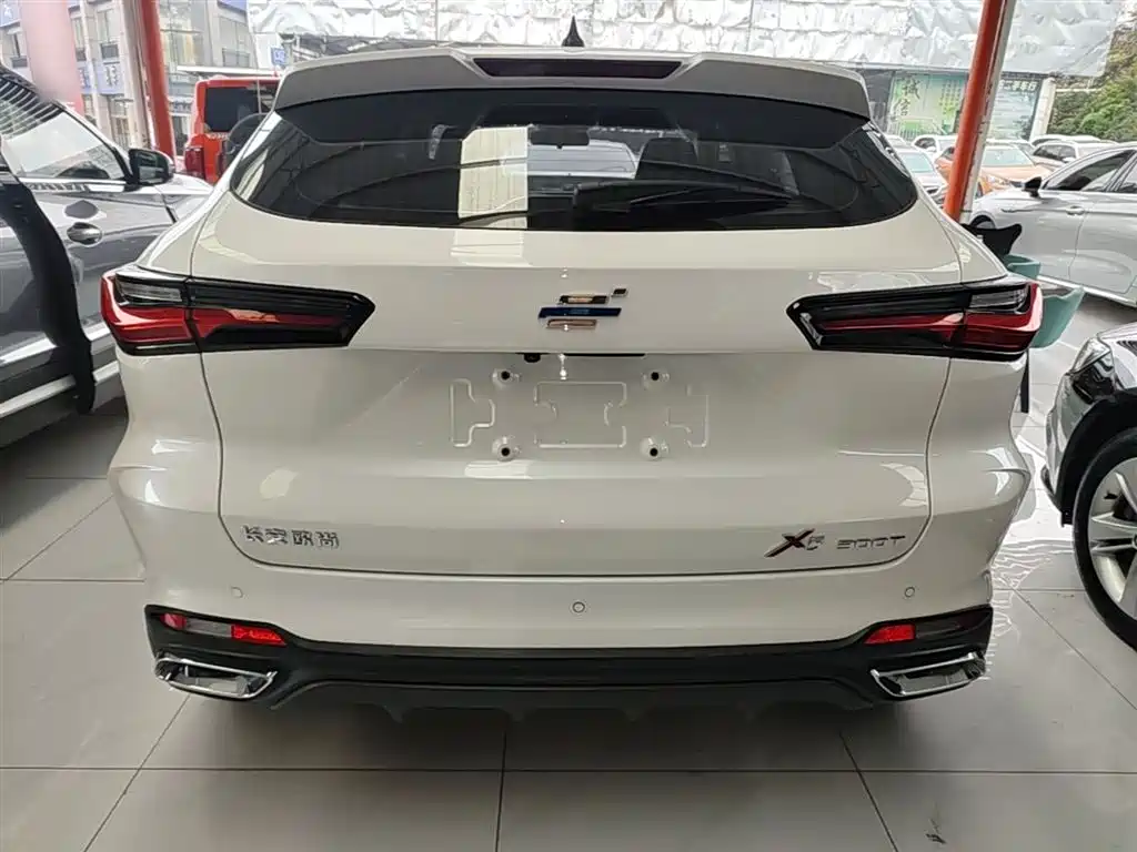 Фото 6 - Changan Oshan Changan Oushang X5