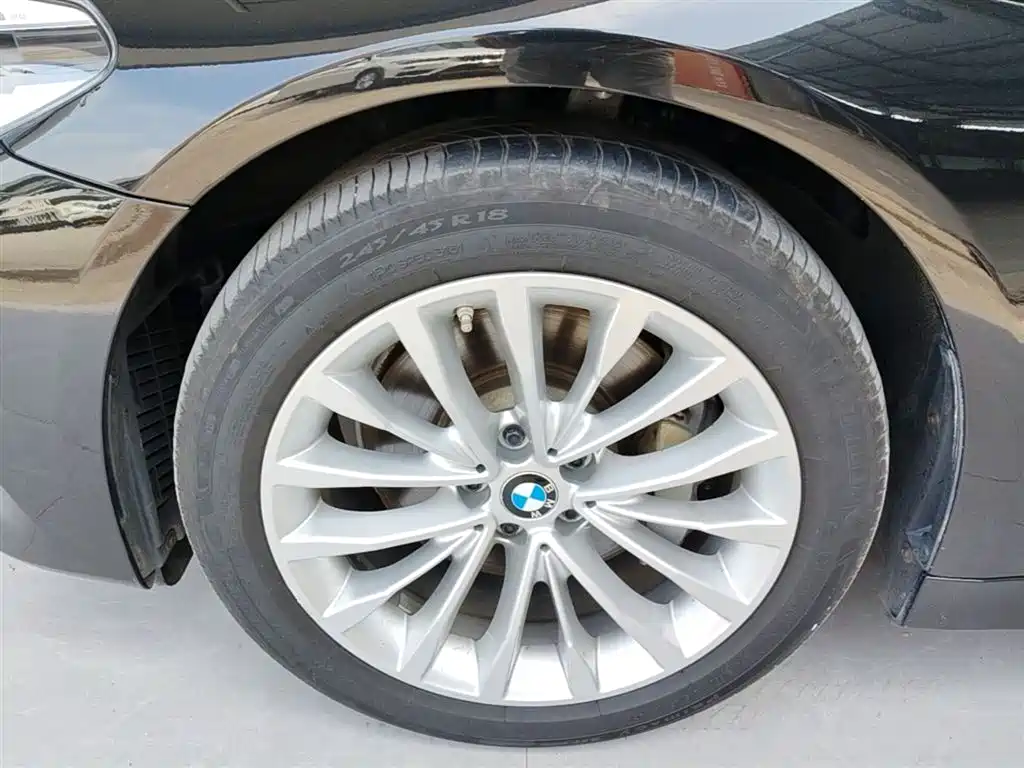 BMW 5 Series 2020 530Li Leading Luxury Package фото 23