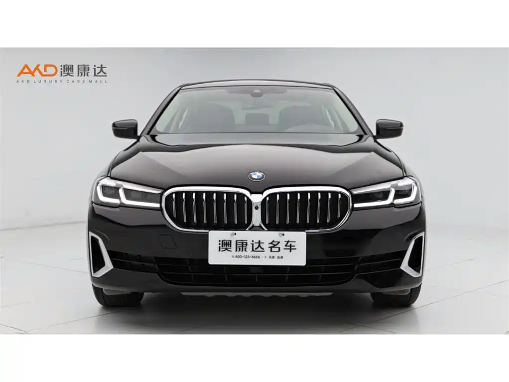BMW 5 Series 2021 530Li Premium Luxury Package фото 2