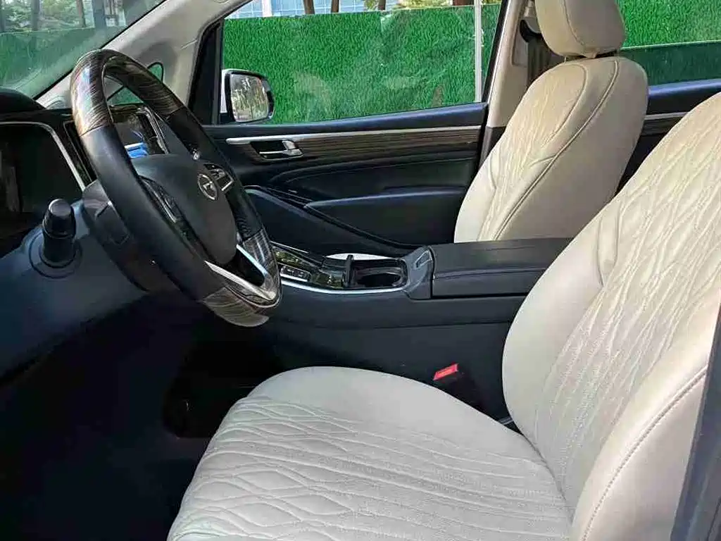 GAC Trumpchi Trumpchi M8 2021 Facelift Leading Series 390T Luxury Edition фото 6