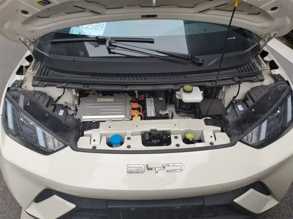 BYD Seagull 2023 Vitality Edition фото 20