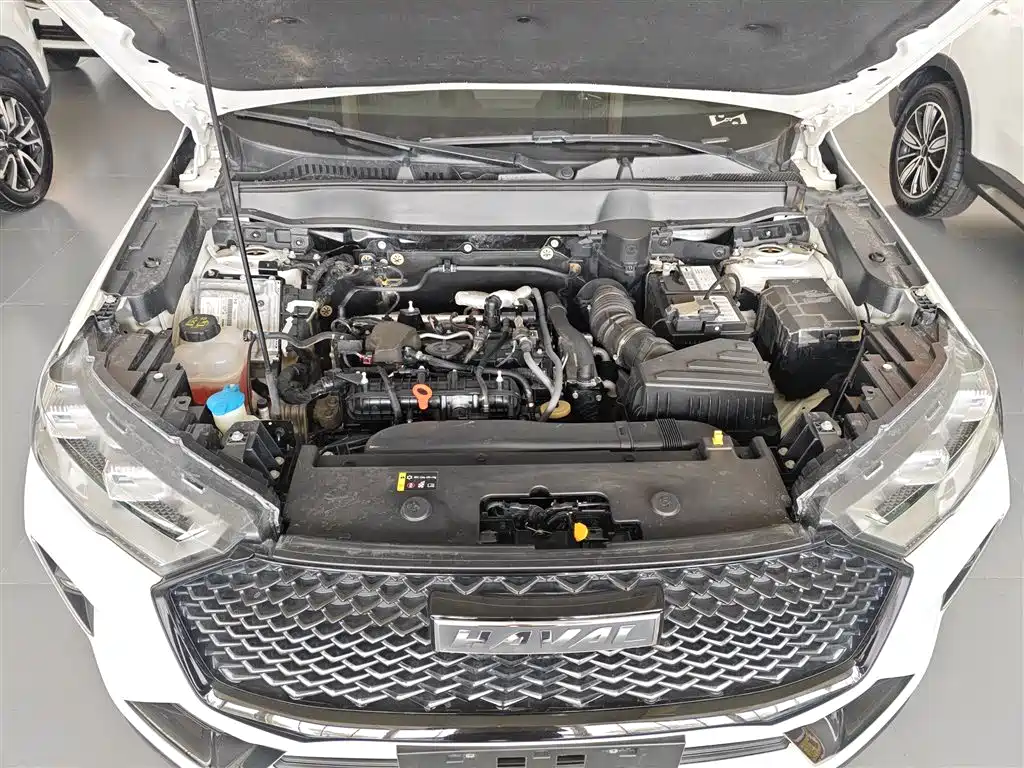 Haval H6 2021 3rd Generation 2.0T Auto AWD Max фото 16