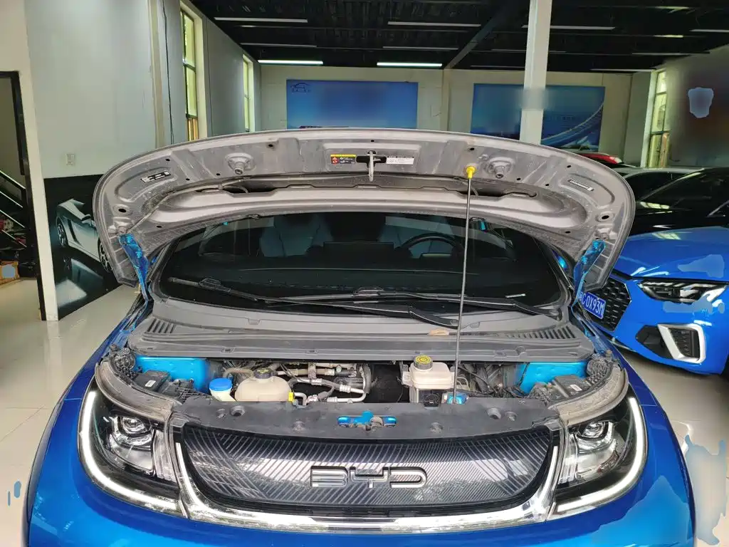 BYD Dolphin 2022 2021 401km Knight Edition