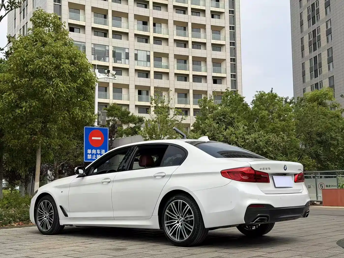 BMW 5 Series 2019 530Li Premium M Sport Package фото 9