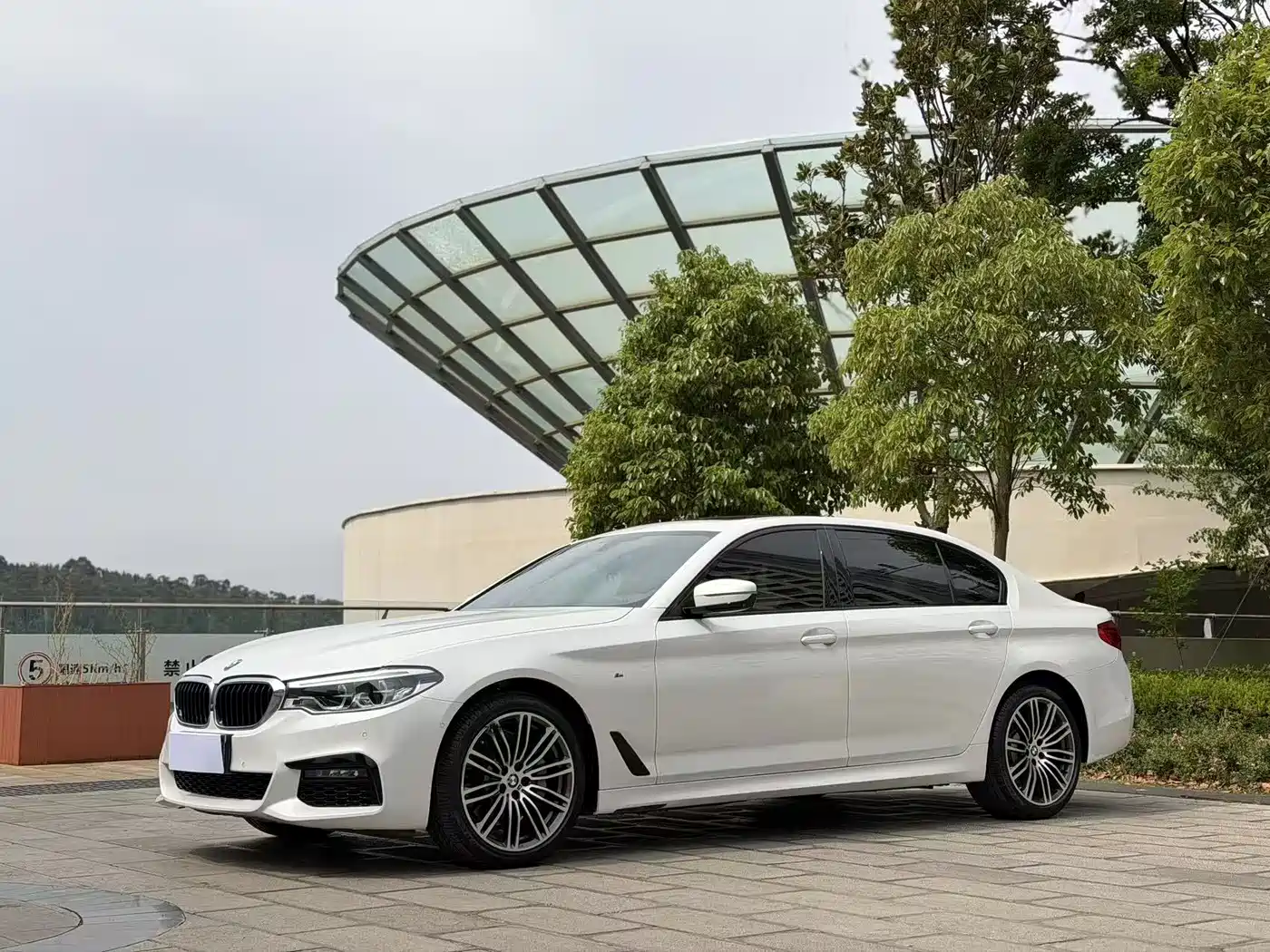 BMW 5 Series 2019 530Li Premium M Sport Package